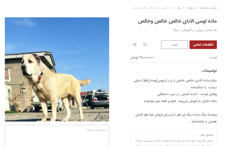 گران ترین سگ در ایران چند؟