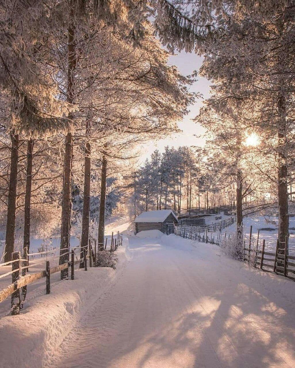تابلوی زمستانی فنلاند + عکس