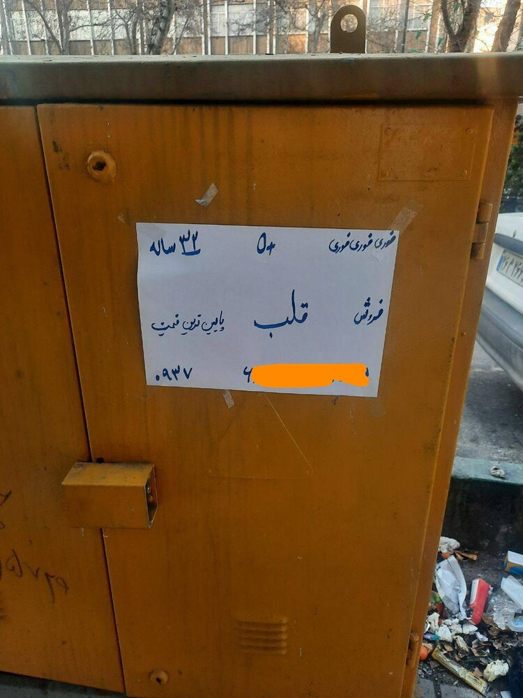 فروش قلب در تهران + عکس